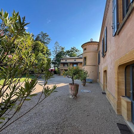 Chateau De Briante Saint-Lager Exterior photo